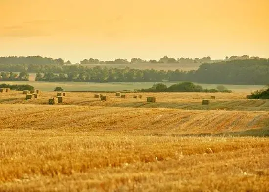 vue terrains a vendre pays basque