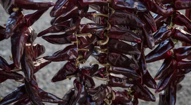 Investir a Ustaritz, immobilier neuf